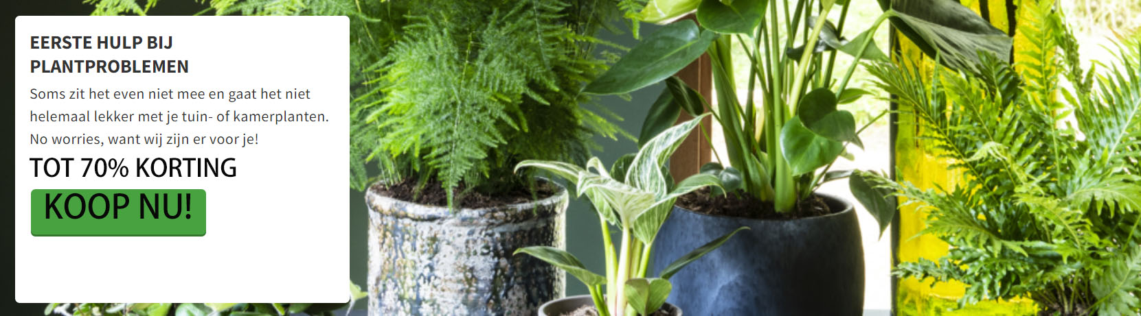 Plantenzadenmest Winkel -Plantenzadenmest Winkel FGJFJ