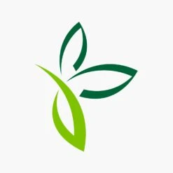 Asplenium Parvati - Moedervaren - In Hangpot - P17 H30 - Kamerplant 6 Asplenium Parvati - Moedervaren - In Hangpot - P17 H30 - Kamerplant -Plantenzadenmest Winkel asplenium parvati moedervaren in hangpot p17 h30 6