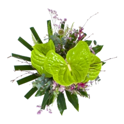 Boeket Anthurium Middel -Plantenzadenmest Winkel boeket anthurium boeketten 2 2