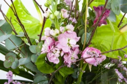 Boeket Anthurium Middel -Plantenzadenmest Winkel boeket anthurium boeketten 3 2