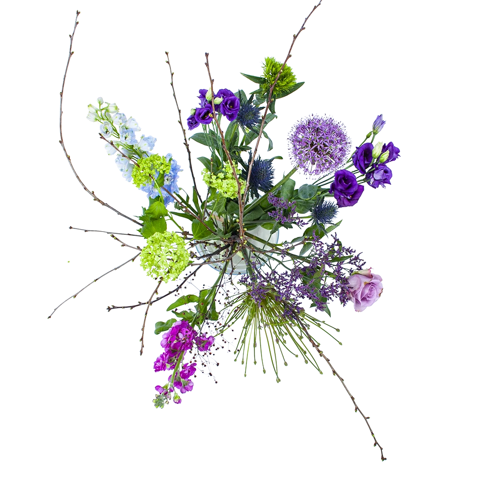 Boeket Biezen Middel 1 Boeket Biezen Middel