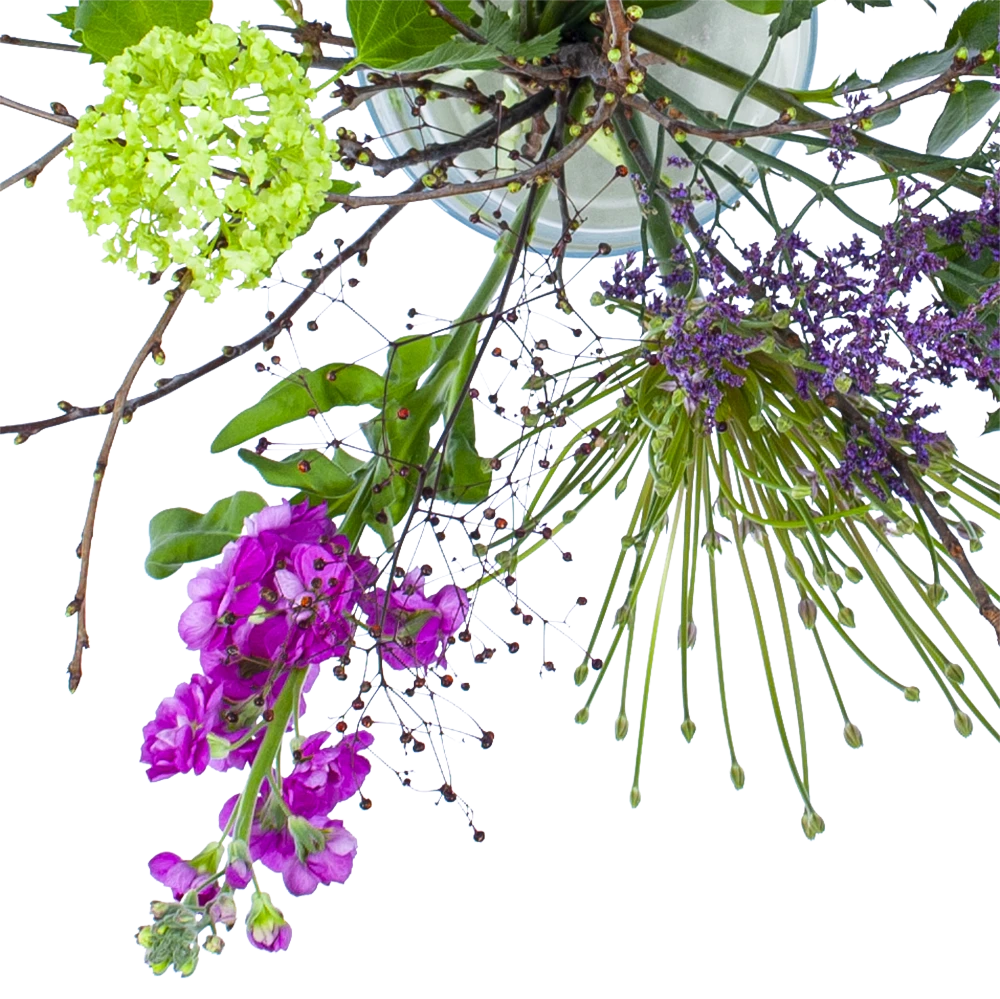 Boeket Biezen Klein 2 Boeket Biezen Klein - Afbeelding 2