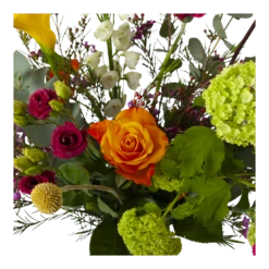 Boeket De Lente Middel -Plantenzadenmest Winkel boeket de lente boeketten 3 2