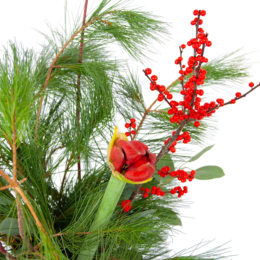 Boeket Deluxe Winter Klein 2 Boeket Deluxe Winter Klein - Afbeelding 2