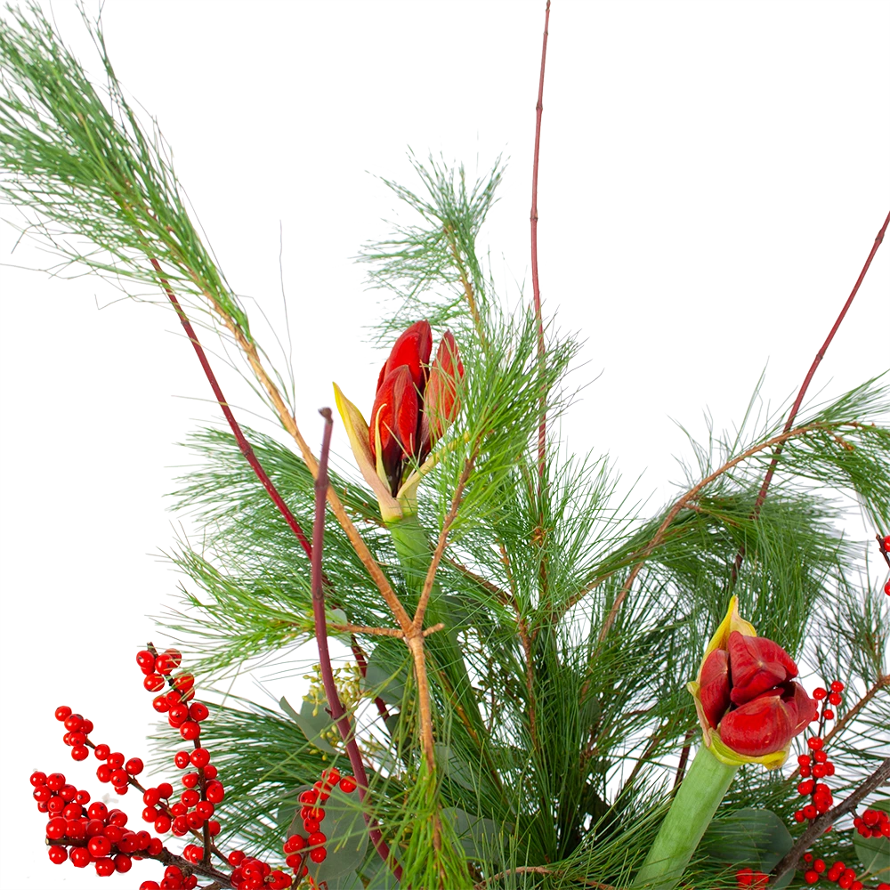 Boeket Deluxe Winter Klein 3 Boeket Deluxe Winter Klein - Afbeelding 3