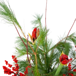 Boeket Deluxe Winter Groot 7 Boeket Deluxe Winter Groot -Plantenzadenmest Winkel boeket deluxe winter boeketten 3 1 2