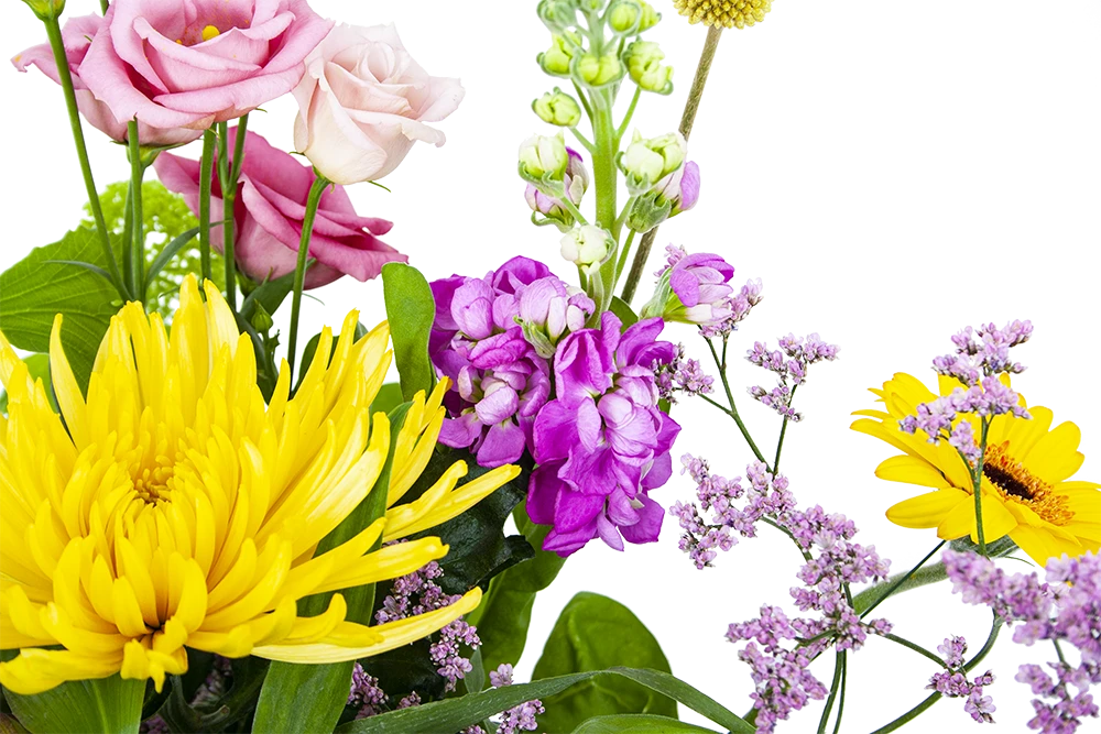 Boeket Eline Middel 3 Boeket Eline Middel - Afbeelding 3