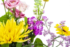 Boeket Eline Groot 8 Boeket Eline Groot -Plantenzadenmest Winkel boeket eline boeketten 3 2