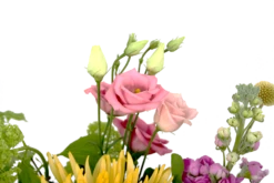 Boeket Eline Groot 9 Boeket Eline Groot -Plantenzadenmest Winkel boeket eline boeketten 4 2