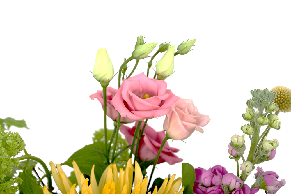 Boeket Eline Groot 4 Boeket Eline Groot - Afbeelding 4