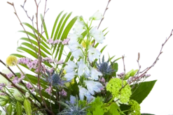 Boeket Erica Groot 7 Boeket Erica Groot -Plantenzadenmest Winkel boeket erica boeketten 3 2