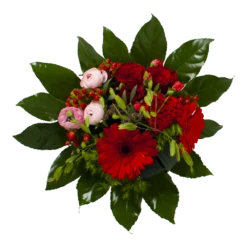 Nieuwkomers -Plantenzadenmest Winkel boeket fijne moederdag 2 2