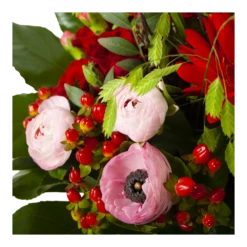 Boeket Fijne Moederdag Groot 8 Boeket Fijne Moederdag Groot -Plantenzadenmest Winkel boeket fijne moederdag 3 2