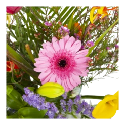 Boeket Heerlijke Lente Deluxe Klein -Plantenzadenmest Winkel boeket heerlijke lente deluxe boeketten 3