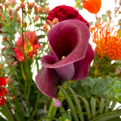 Boeket Herfst Warmte Groot -Plantenzadenmest Winkel boeket herfst warmte groot boeketten 4