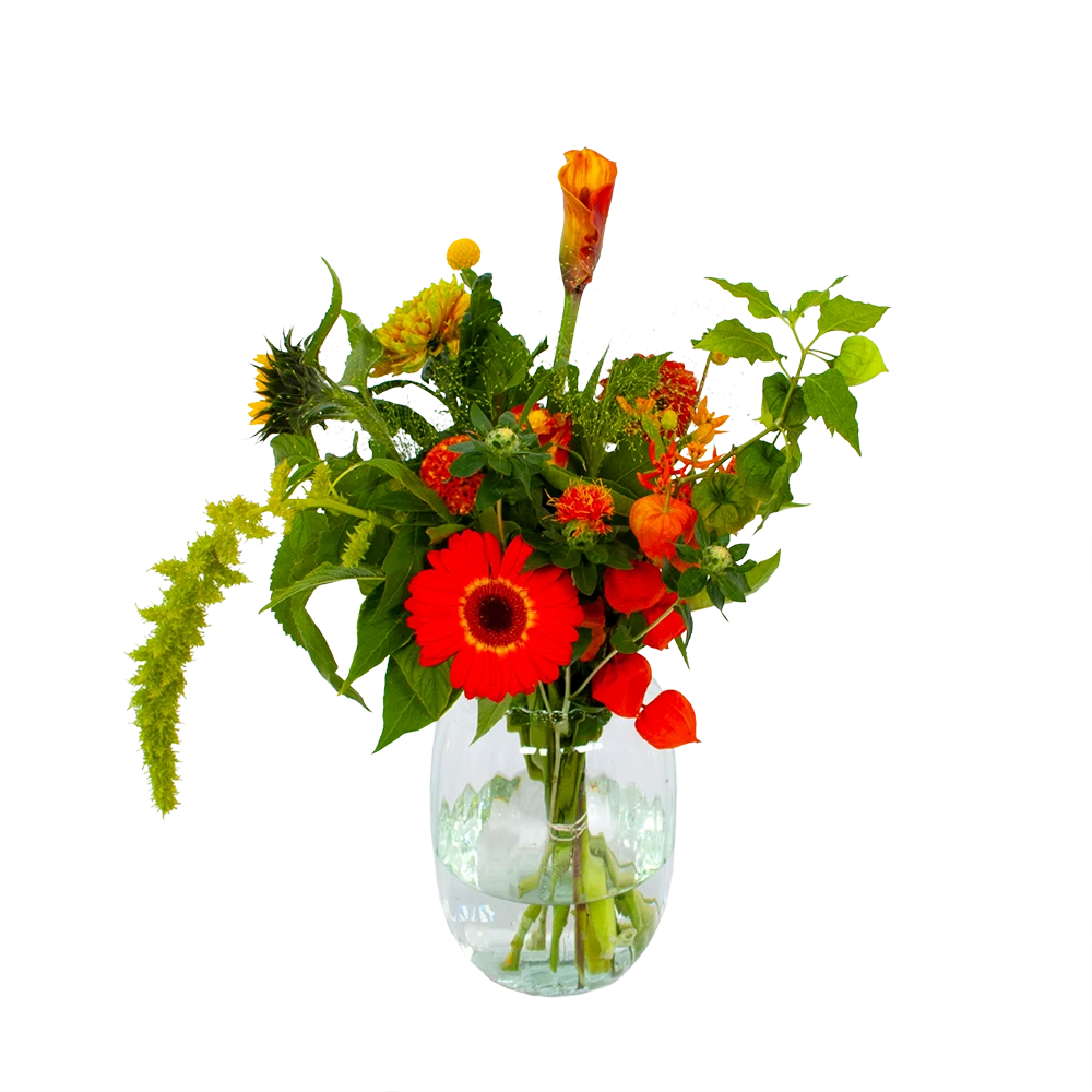 Boeket Herfst Uit Het Veld Groot 1 Boeket Herfst Uit Het Veld Groot