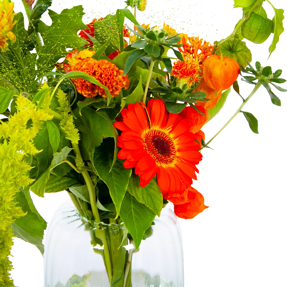 Boeket Herfst Uit Het Veld Groot 3 Boeket Herfst Uit Het Veld Groot - Afbeelding 3