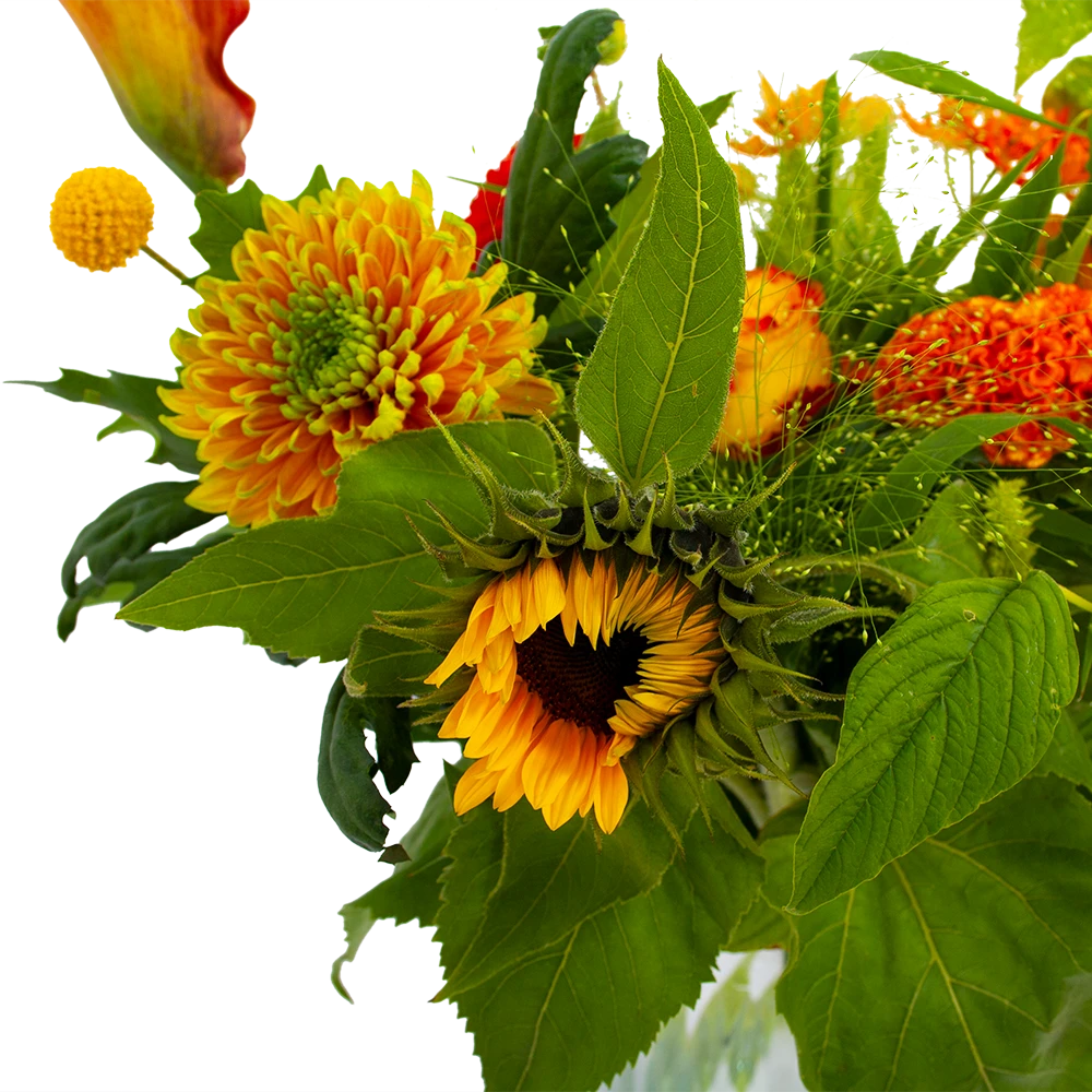 Boeket Herfst Uit Het Veld Groot 4 Boeket Herfst Uit Het Veld Groot - Afbeelding 4