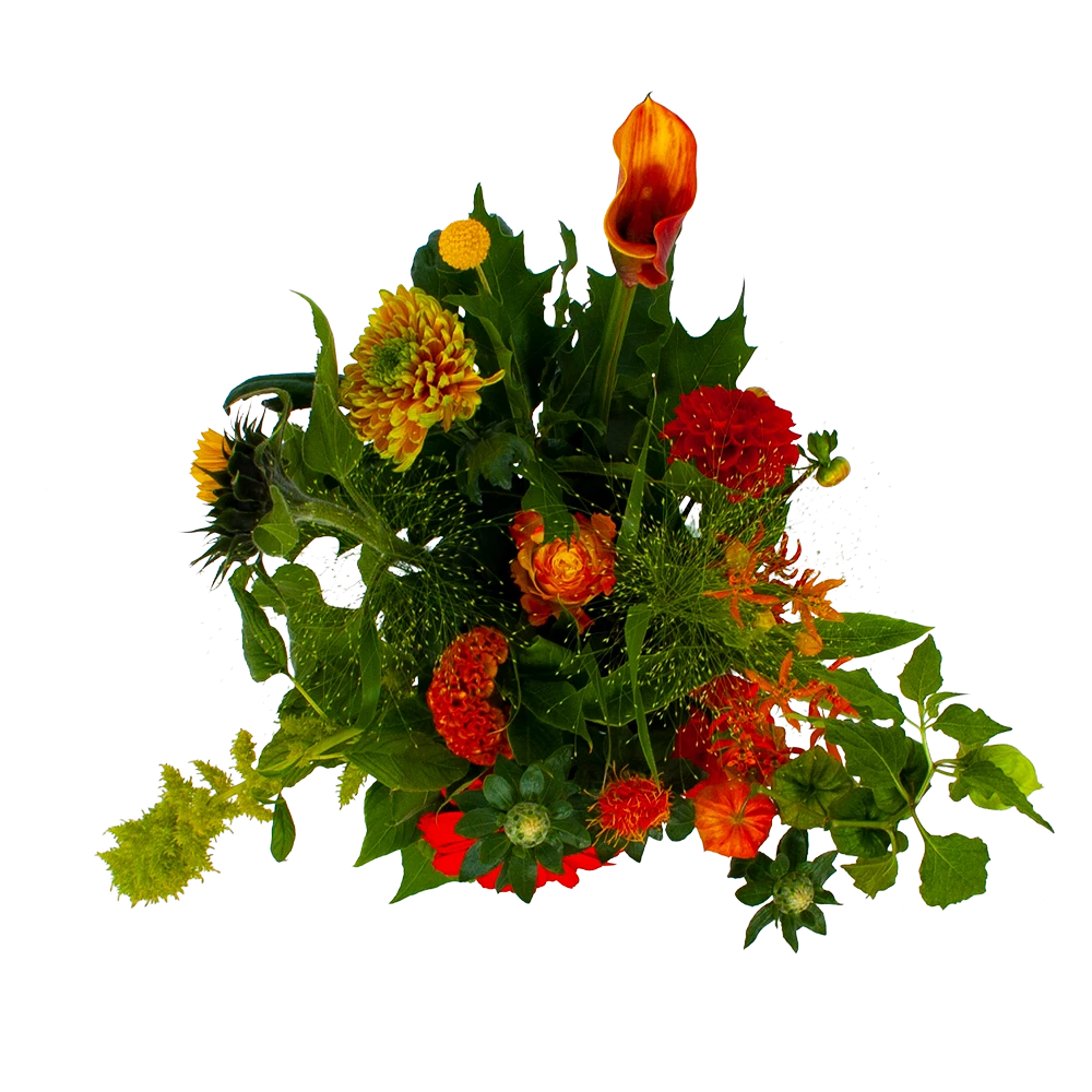 Boeket Herfst Uit Het Veld Klein 2 Boeket Herfst Uit Het Veld Klein - Afbeelding 2