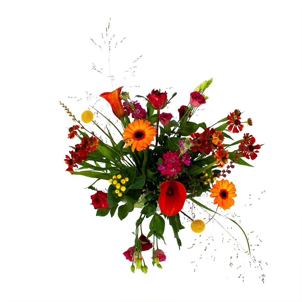 Boeket Hippe Herfst Klein 2 Boeket Hippe Herfst Klein - Afbeelding 2