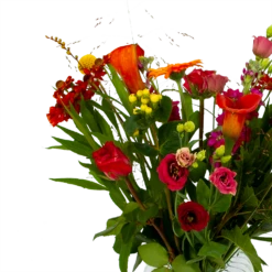 Boeket Hippe Herfst Middel 8 Boeket Hippe Herfst Middel -Plantenzadenmest Winkel boeket hippe herfst middel boeketten 3 1