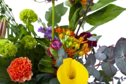 Boeket Judith Klein 7 Boeket Judith Klein -Plantenzadenmest Winkel boeket judith boeketten 3