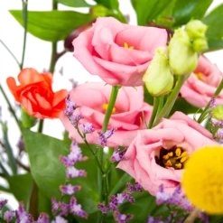 Boeket Kleurrijk Geplukt Middel 7 Boeket Kleurrijk Geplukt Middel -Plantenzadenmest Winkel boeket kleurrijk geplukt boeketten 3 2