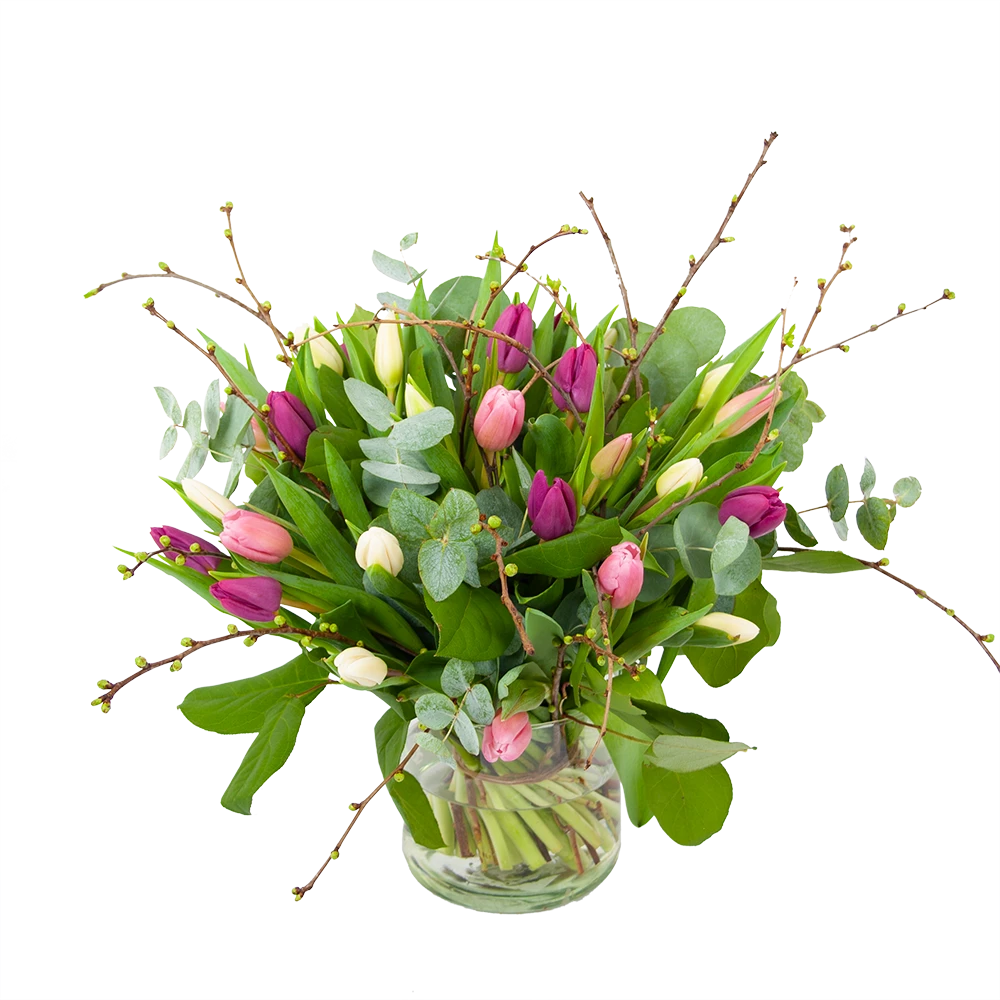 Boeket Kleurrijke Tulp Groot 1 Boeket Kleurrijke Tulp Groot