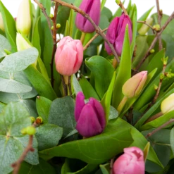 Boeket Kleurrijke Tulp Groot 7 Boeket Kleurrijke Tulp Groot -Plantenzadenmest Winkel boeket kleurrijke tulp boeketten 3