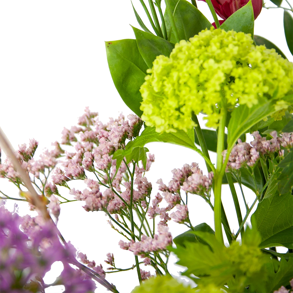 Boeket Kleurrijke Verrassing Middel 2 Boeket Kleurrijke Verrassing Middel - Afbeelding 2