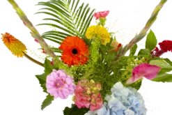 Boeket Lach Groot 8 Boeket Lach Groot -Plantenzadenmest Winkel boeket lach boeketten 3 1 1