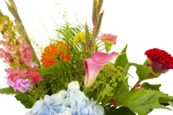 Boeket Lach Groot 9 Boeket Lach Groot -Plantenzadenmest Winkel boeket lach boeketten 4 1 1