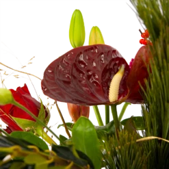 Boeket Liefdevolle Kerst Klein -Plantenzadenmest Winkel boeket liefdevolle kerst boeketten 4 1