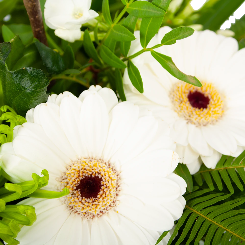 Boeket Liefdevolle Winter Klein 2 Boeket Liefdevolle Winter Klein - Afbeelding 2