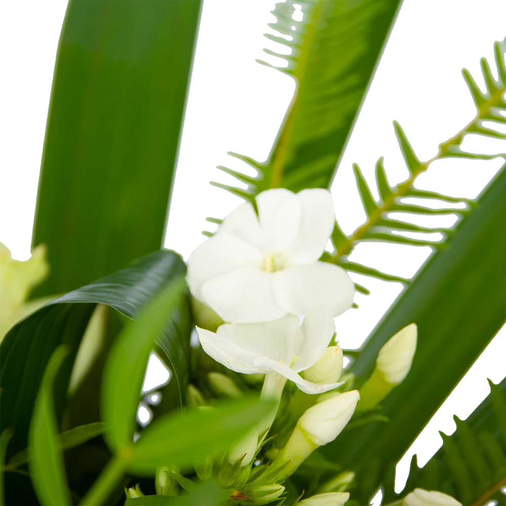 Boeket Liefdevolle Winter Middel 3 Boeket Liefdevolle Winter Middel - Afbeelding 3