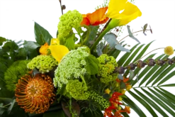 Boeket Martinus Klein 7 Boeket Martinus Klein -Plantenzadenmest Winkel boeket martinus boeketten 3 1