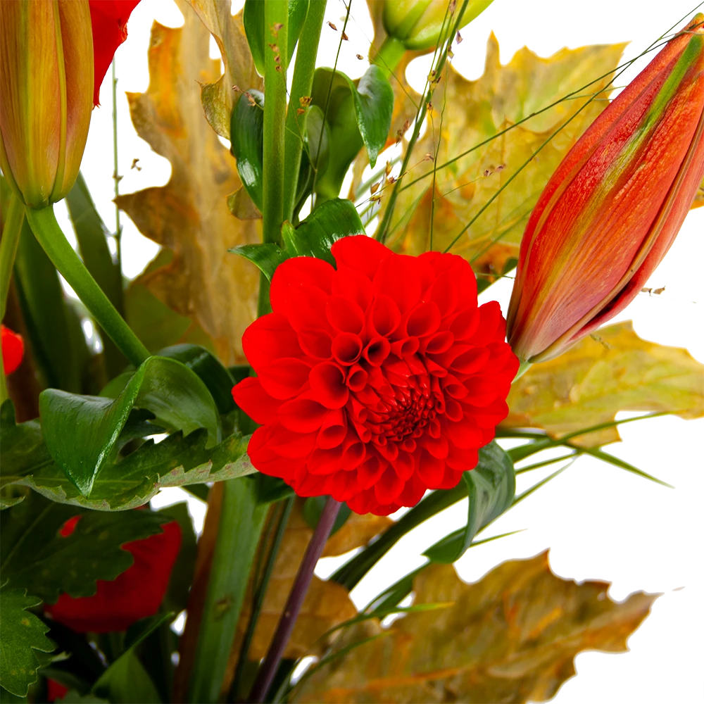 Boeket Pluim Van Het Najaar Klein 3 Boeket Pluim Van Het Najaar Klein - Afbeelding 3