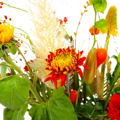 Boeket Pluim Van Het Najaar Klein 9 Boeket Pluim Van Het Najaar Klein -Plantenzadenmest Winkel boeket pluim van het najaar klein boeketten 4