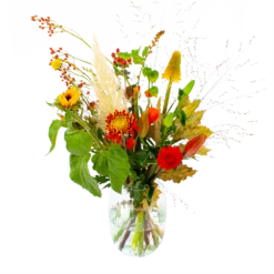 Boeket Pluim Van Het Najaar Middel