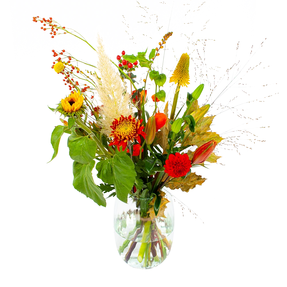 Boeket Pluim Van Het Najaar Middel 1 Boeket Pluim Van Het Najaar Middel