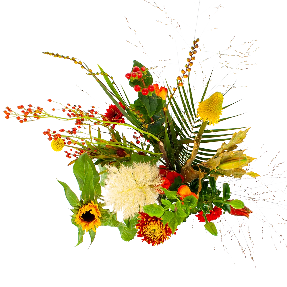 Boeket Pluim Van Het Najaar Middel 2 Boeket Pluim Van Het Najaar Middel - Afbeelding 2