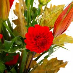 Boeket Pluim Van Het Najaar Middel 8 Boeket Pluim Van Het Najaar Middel -Plantenzadenmest Winkel boeket pluim van het najaar middel boeketten 3