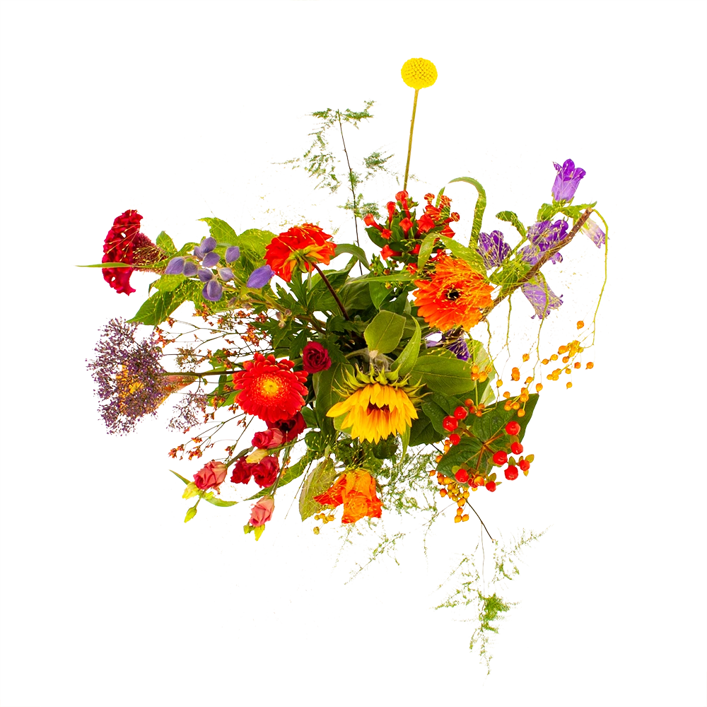 Boeket Plukgeluk Groot 2 Boeket Plukgeluk Groot - Afbeelding 2