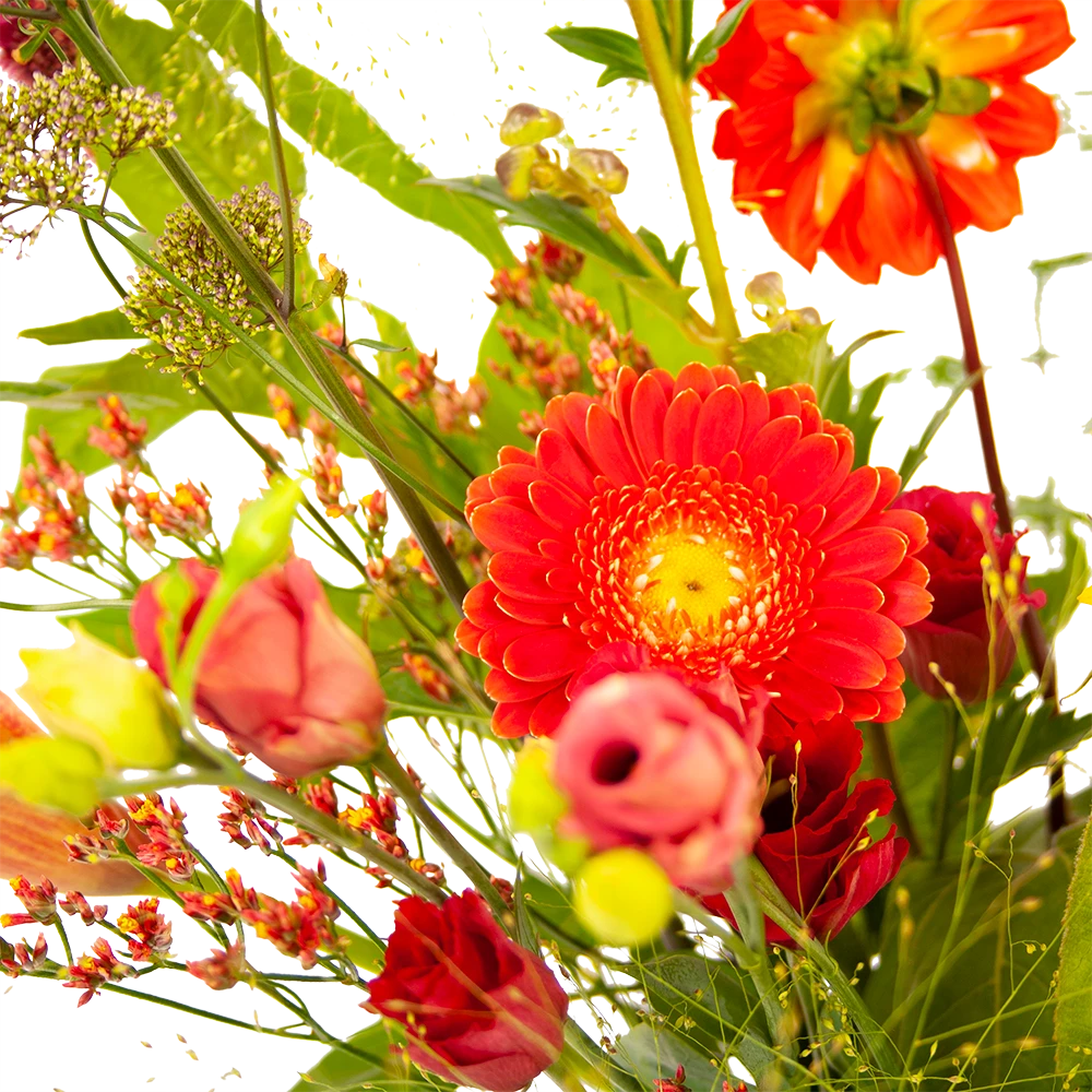 Boeket Plukgeluk Groot 3 Boeket Plukgeluk Groot - Afbeelding 3