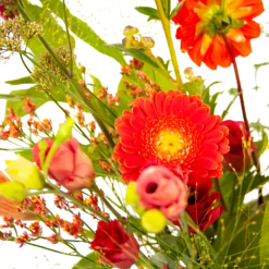 Boeket Plukgeluk Klein -Plantenzadenmest Winkel boeket plukgeluk klein boeketten 3