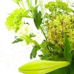 Boeket Puur Natuur Middel 8 Boeket Puur Natuur Middel -Plantenzadenmest Winkel boeket puur natuur boeketten 3 1