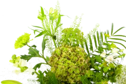 Boeket Puur Natuur Middel 9 Boeket Puur Natuur Middel -Plantenzadenmest Winkel boeket puur natuur boeketten 4 1