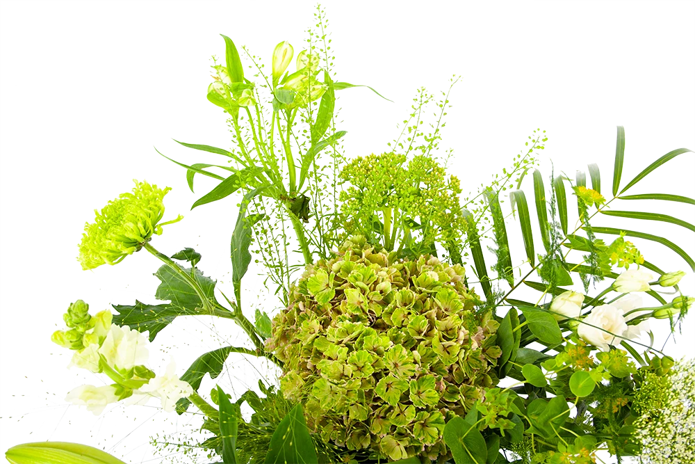 Boeket Puur Natuur Middel 4 Boeket Puur Natuur Middel - Afbeelding 4