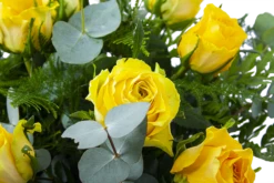 Boeket Rosa Geel Groot 7 Boeket Rosa Geel Groot -Plantenzadenmest Winkel boeket rosa geel boeketten 3 1