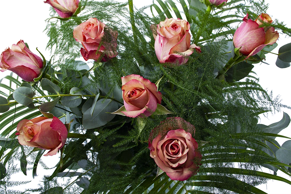 Boeket Rosa Roze Groot 3 Boeket Rosa Roze Groot - Afbeelding 3